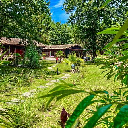 House De La Canopee, Swimming Pool, Lake, Forest, Large Garden And Wifi Уртен Экстерьер фото