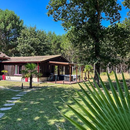 House De La Canopee, Swimming Pool, Lake, Forest, Large Garden And Wifi Уртен Экстерьер фото