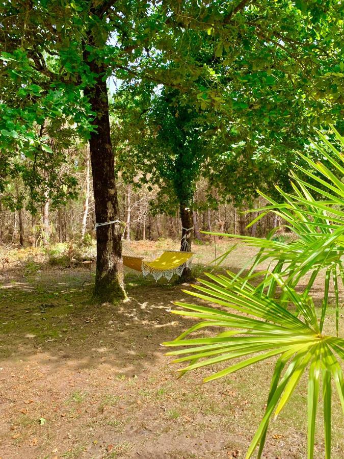 House De La Canopee, Swimming Pool, Lake, Forest, Large Garden And Wifi Уртен Экстерьер фото