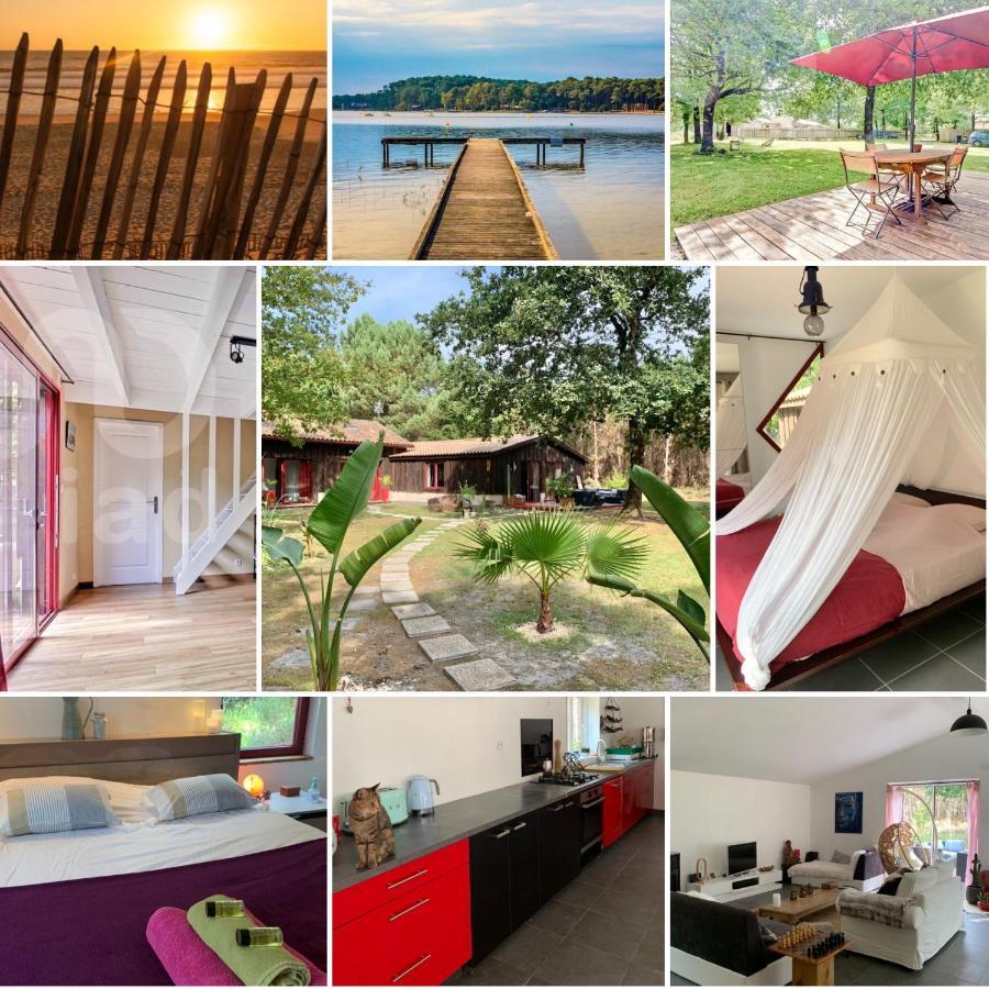 House De La Canopee, Swimming Pool, Lake, Forest, Large Garden And Wifi Уртен Экстерьер фото