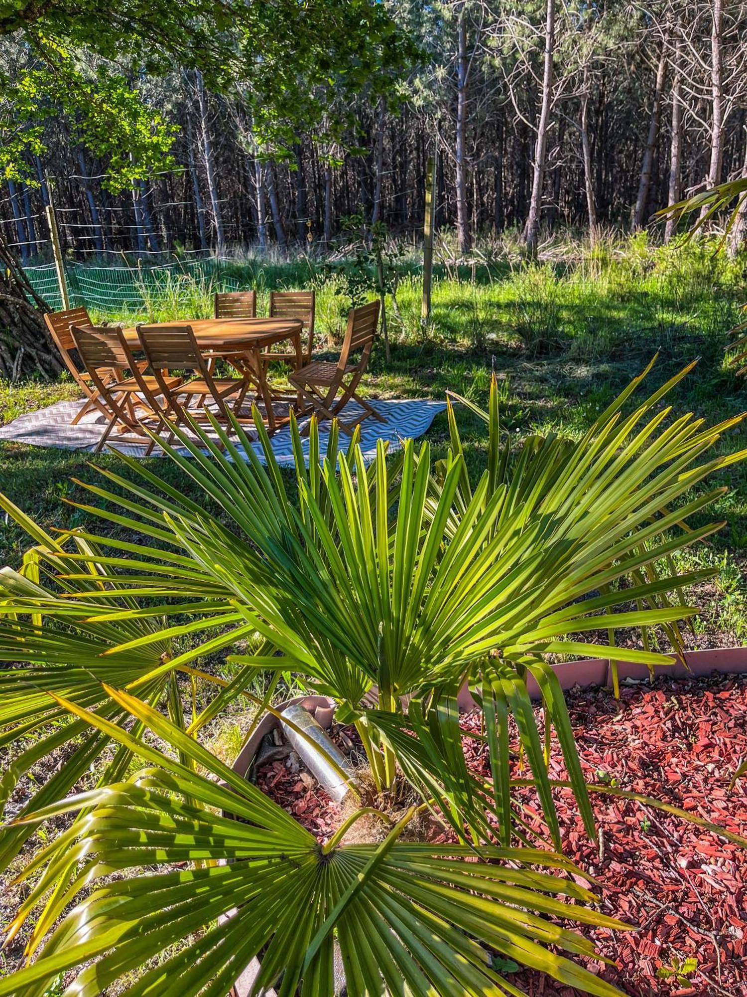 House De La Canopee, Swimming Pool, Lake, Forest, Large Garden And Wifi Уртен Экстерьер фото
