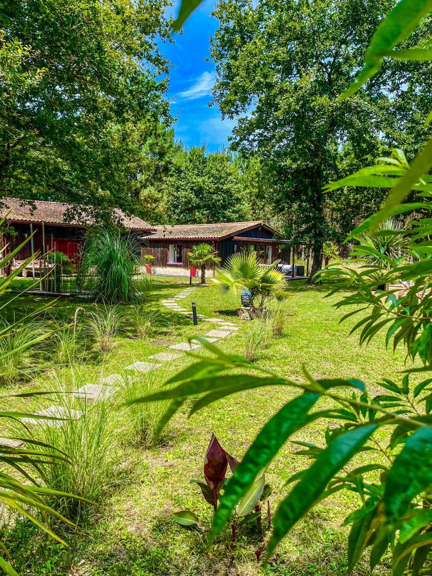 House De La Canopee, Swimming Pool, Lake, Forest, Large Garden And Wifi Уртен Экстерьер фото